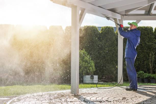 Best Driveway Pressure Washing  in Patterson Tract, CA